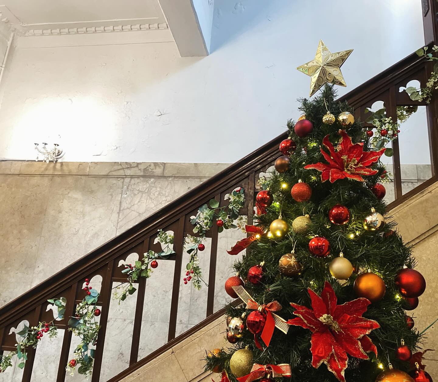 大阪農林会館
本日よりクリスマスモード🎄✨

今年は、偶然来館された
いっぱいの小さな子供達に
ツリーのオーナメントの取付を手伝ってもらって
その嬉しさにキラキラ✨感倍増です✨🎄✨

去年は抱っこだったのに、今年は歩いてるんだね〜🎶
なんてお話ししつつ‥‥

是非、子供達がお手伝いしてくれて完成したツリー🎄
見に来てくださーい😊

#南船場#大阪農林会館#登録有形文化財#ヴィンテージビル#レトロビル#クリスマス