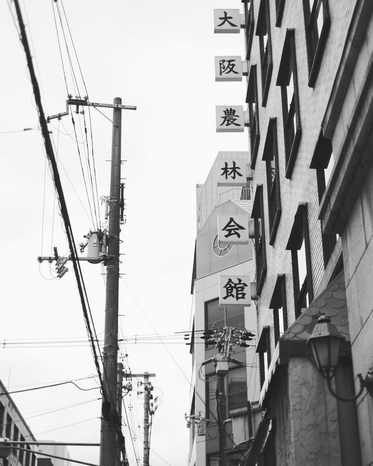 2025年も
たくさんのご縁をありがとうございました。

皆さま、どうぞよいお年をお迎えください。

大阪農林会館